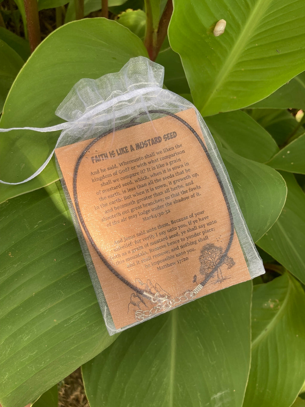 Mustard Seed of Faith Necklace